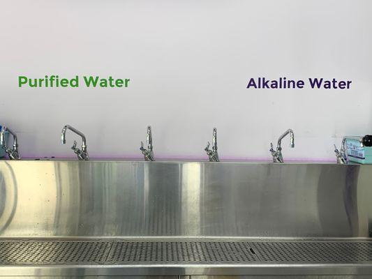 Purified and Alkaline