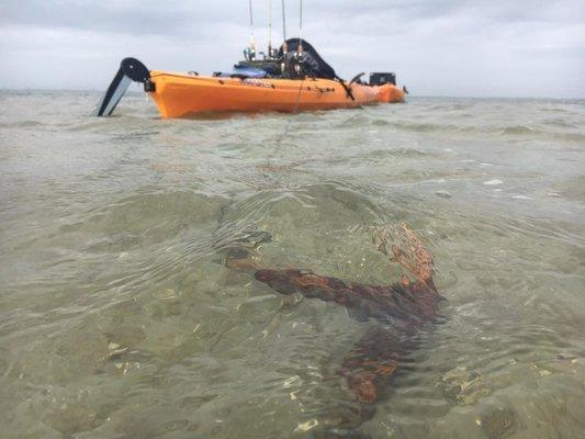 Wilderness systems Tarpon 140 Aransas Pass, TX.