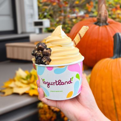 Yogurtland