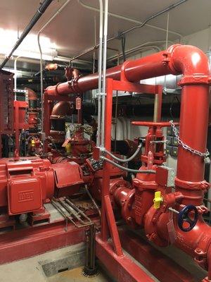 Fire Pump Inspections? YES!