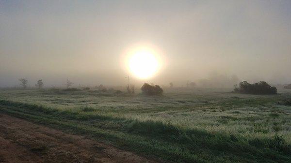 The sunrise out in the field