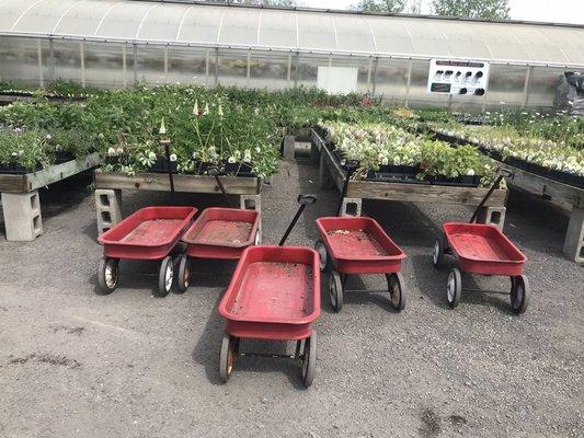 Adorable wagons for transporting plants!