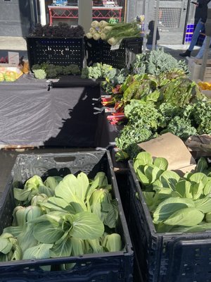 What a nice mix of vegetables all ready to hit a Wok !  Plus some gorgeous Fennel for a Salad!  At the San Francisco Farmers Market.