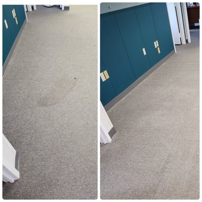 stain removal in office building