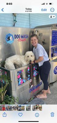 Dog Wash Atlanta