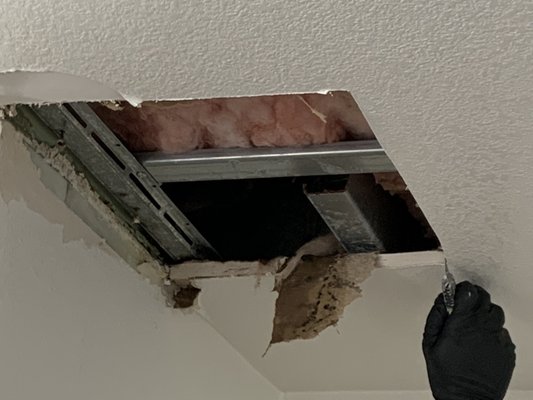 Opening ceiling due to leak from bathroom above me