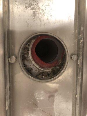 Bathroom Drain