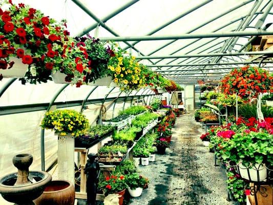 Gardens to Go greenhouse in springtime