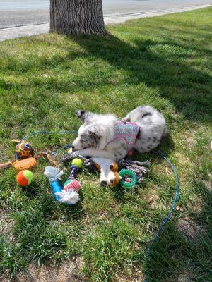 Just hanging outside with my puppy Dolly.