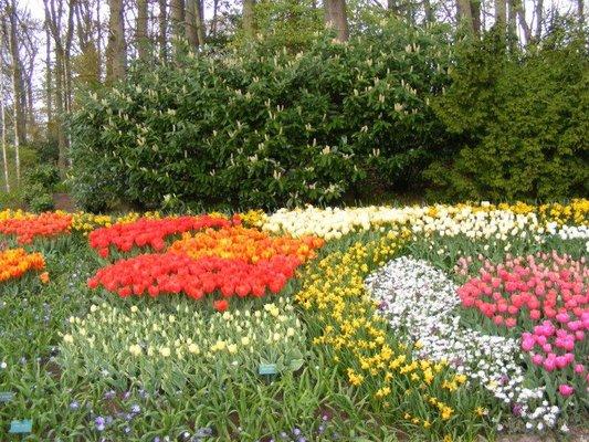 Keukenhof Gardens