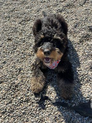 Hunny all smiles at Daycare!