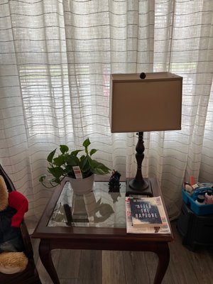 Side table, lamp, plant