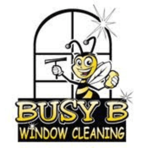 Busy B Window Cleaning