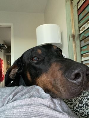 Mah Dobie