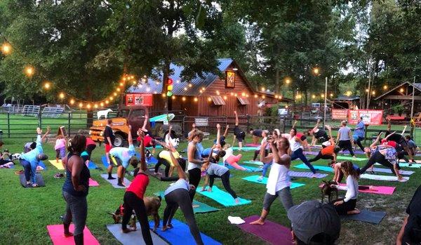 Goat Yoge evening class under the string lights!  Perfect stress relief!