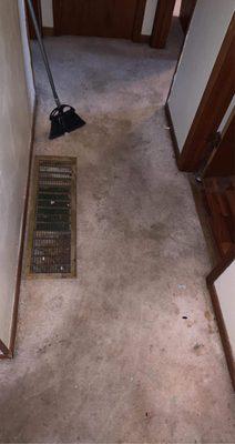 Before carpet sanitization