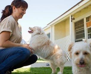 Canton Veterinary Clinic