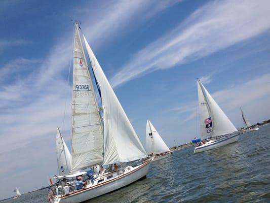 39 annual crab regatta