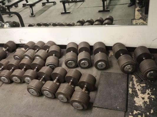 Dumbells up to 200 lbs !!!!. I'm sure you gym has them .