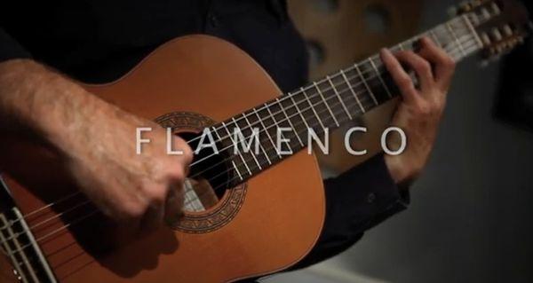 Traditional flamenco technique, by Tim:
 https://youtu.be/k-x5UtTgVeg