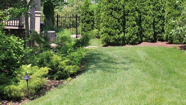 Lawn Fertilization and Pest Control