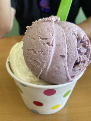 3 scoops- Ube, coconut pineapple and Hana road