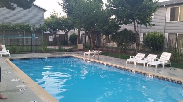 The Beautiful Benford Court Seasonal Heated Pool, Surrounded by Wonderful Fruit Trees & Fruit Plants :)