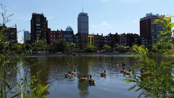 Boston's Back Bay seen from the Boston Esplanade.