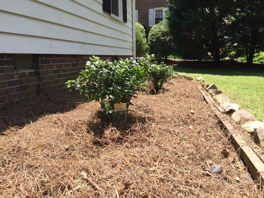 Reliant Earthworks & Landscaping