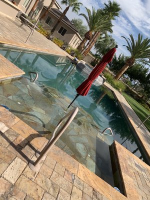 Our pool looks perfect thanks to Purple Palms!