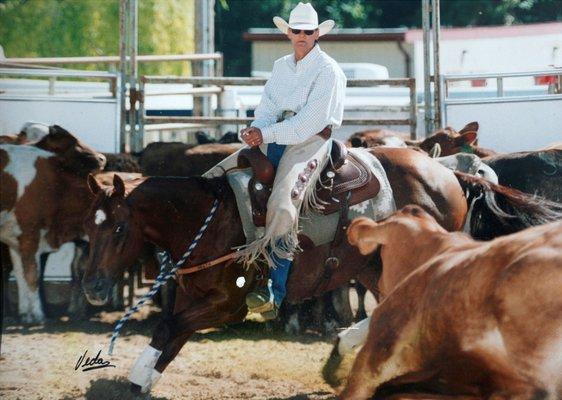 Camarillo Performance Horses