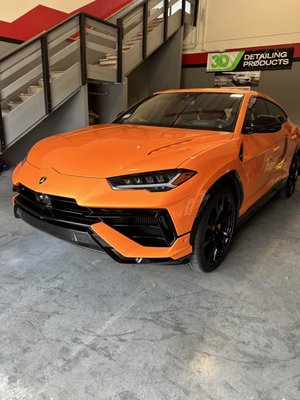 Lamborghini urus window tint