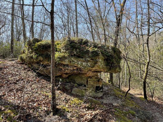 Peachtree Rock Hiking Trail