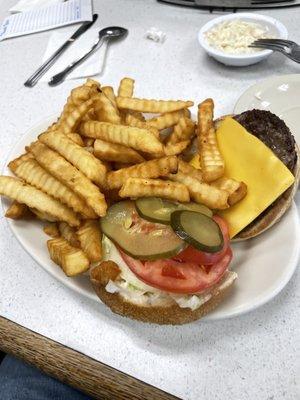 Cheeseburger Platter (Cole slaw included)