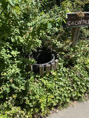 An empty trash can because for some reason a full trash can is one of the top pictures for this place.