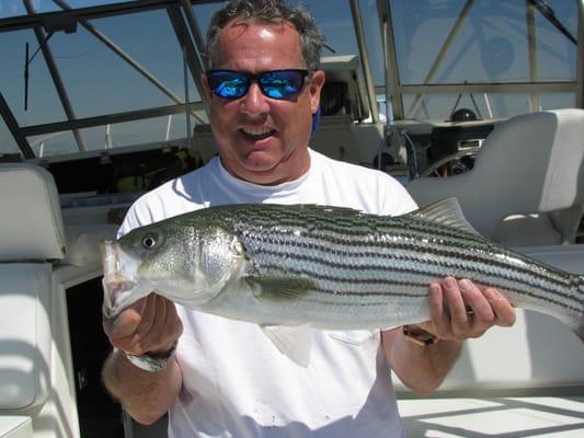 Striped Bass