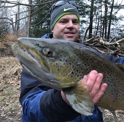 Trophy Trout Tributary Fishing