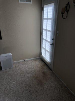 Eco Green left the carpet like that and is stating that the tenant damaged it.