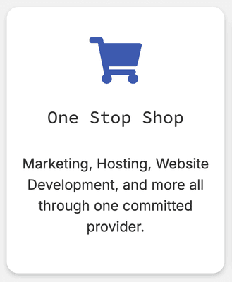 One Stop Shop
Marketing, hosting, web development, and more all through one committed provider.