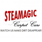 Steamagic Carpet Care