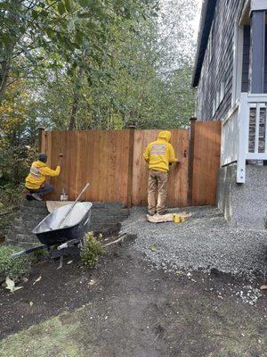 Staining of New Fence