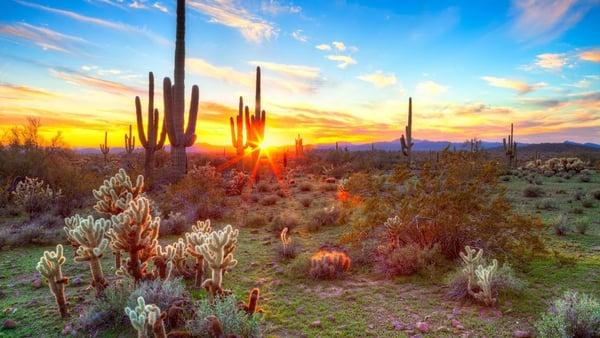 Tucson Sunset