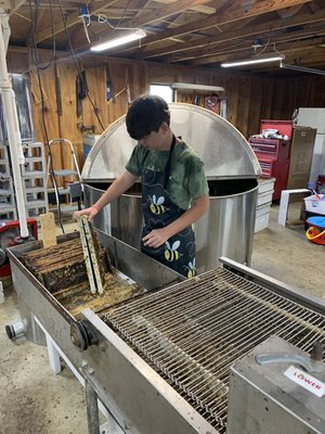 Dylan extracting Honey