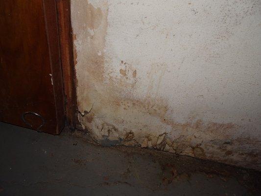 Possible Mold in Basement.