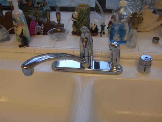 New faucet with hand spray - 21May2020