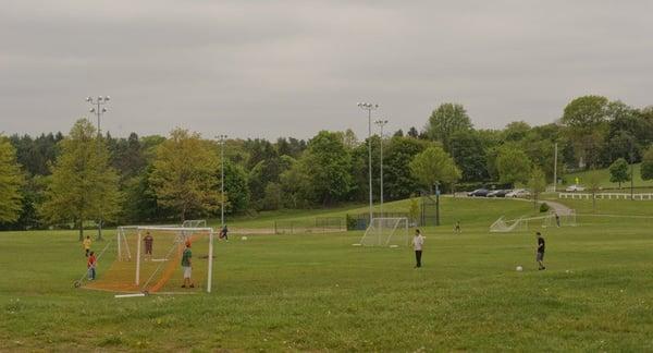 soccer field