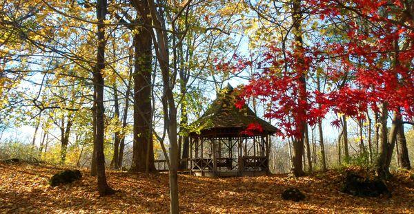 Gazebo in the woods