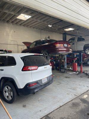 "Bays" in the Garage....