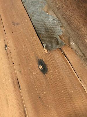 Upstairs, 1/8 photos. Larry the owner stated that he personally inspected and insisted it was a beautifully refinished floor!