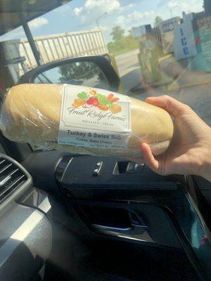 Regular ole gas station turkey sub.